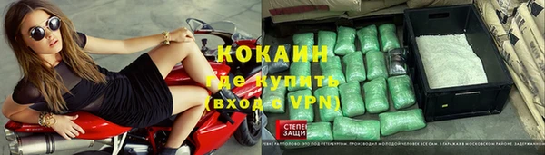 индика Арсеньев