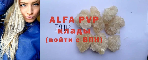 индика Арсеньев