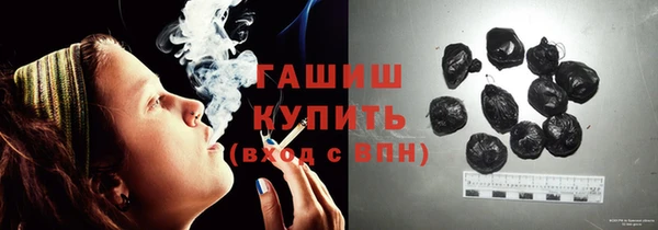 индика Арсеньев