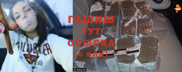 индика Арсеньев