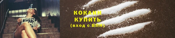 индика Арсеньев