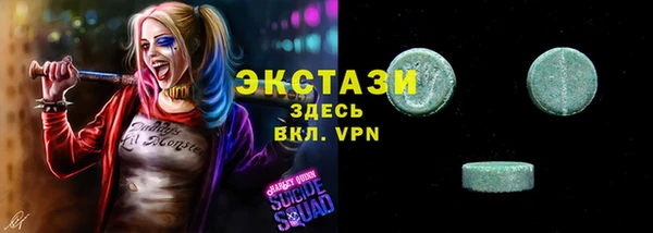 индика Арсеньев