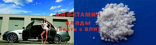 сатива Армянск