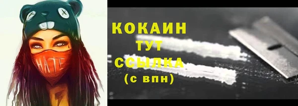 сатива Армянск
