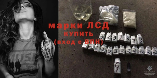 индика Арсеньев