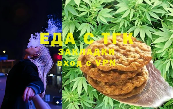 индика Арсеньев