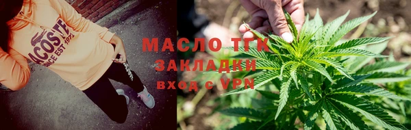 сатива Армянск