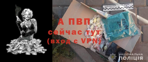 сатива Армянск